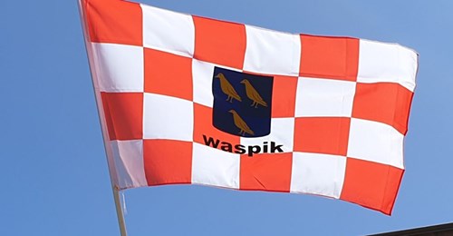 Vrije Waspikse Radio Omroep